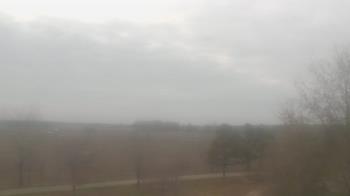 Weather camera view of Walkers Bluff.
