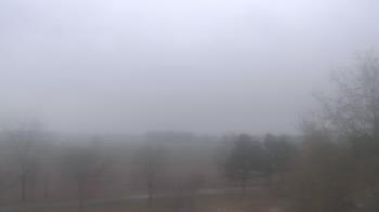 Weather camera view of Walkers Bluff.