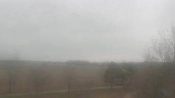 Weather camera view of Walkers Bluff.