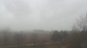 Weather camera view of Walkers Bluff.