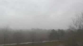 Weather camera view of Walkers Bluff.