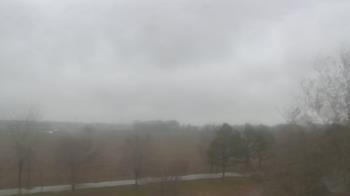 Weather camera view of Walkers Bluff.