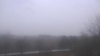 Weather camera view of Walkers Bluff.
