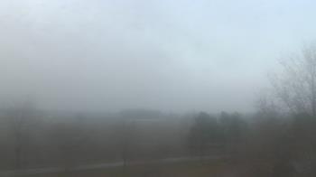 Weather camera view of Walkers Bluff.