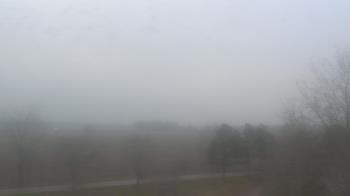 Weather camera view of Walkers Bluff.