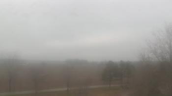 Weather camera view of Walkers Bluff.