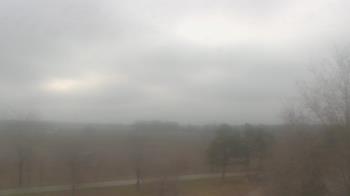 Weather camera view of Walkers Bluff.