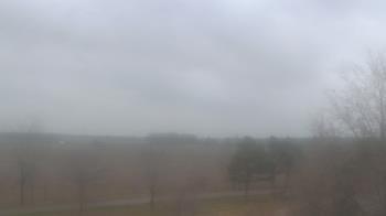 Weather camera view of Walkers Bluff.