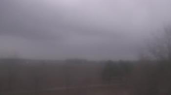 Weather camera view of Walkers Bluff.