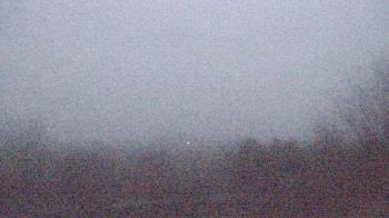 Weather camera view of Walkers Bluff.