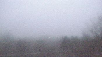 Weather camera view of Walkers Bluff.