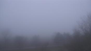Weather camera view of Walkers Bluff.