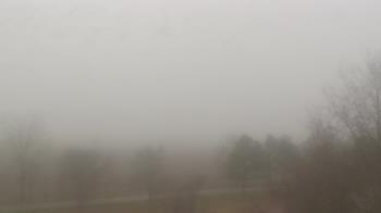 Weather camera view of Walkers Bluff.