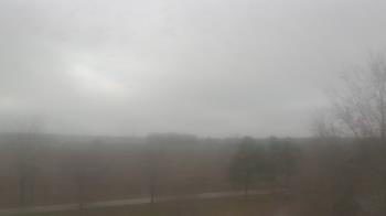 Weather camera view of Walkers Bluff.