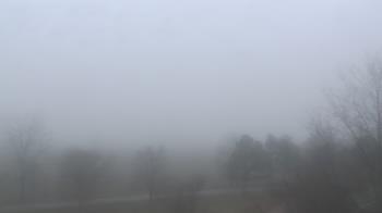 Weather camera view of Walkers Bluff.