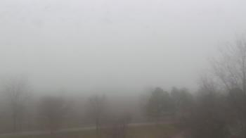 Weather camera view of Walkers Bluff.