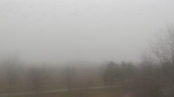 Weather camera view of Walkers Bluff.