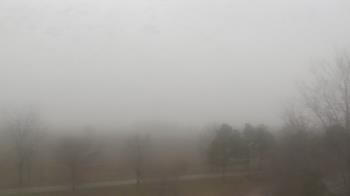 Weather camera view of Walkers Bluff.