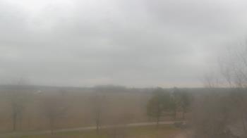 Weather camera view of Walkers Bluff.