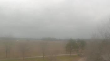 Weather camera view of Walkers Bluff.
