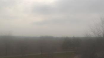 Weather camera view of Walkers Bluff.