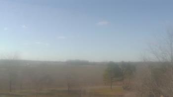 Weather camera view of Walkers Bluff.