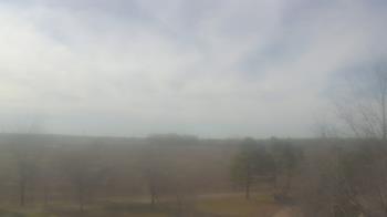 Weather camera view of Walkers Bluff.