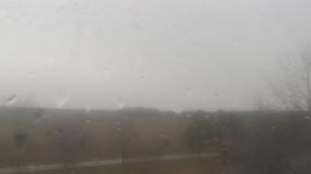 Weather camera view of Walkers Bluff.