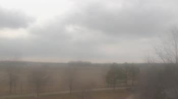 Weather camera view of Walkers Bluff.