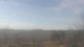 Weather camera view of Walkers Bluff.