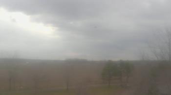 Weather camera view of Walkers Bluff.