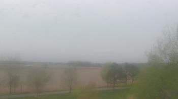 Weather camera view of Walkers Bluff.