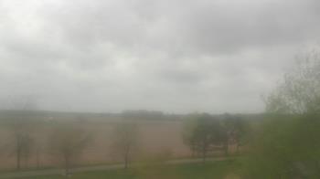 Weather camera view of Walkers Bluff.