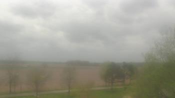 Weather camera view of Walkers Bluff.