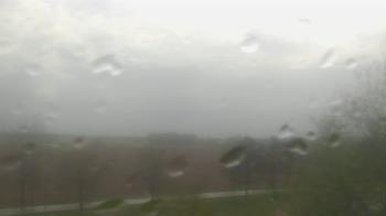 Weather camera view of Walkers Bluff.