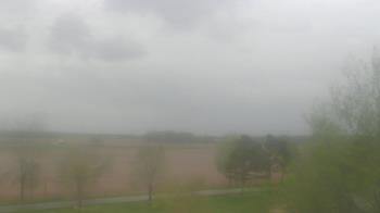 Weather camera view of Walkers Bluff.