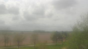 Weather camera view of Walkers Bluff.