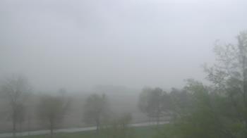 Weather camera view of Walkers Bluff.