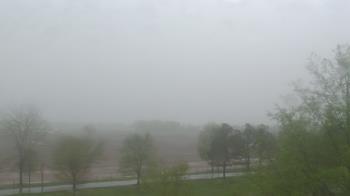 Weather camera view of Walkers Bluff.