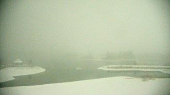 Weather camera view of Three Oaks Recreation Area.