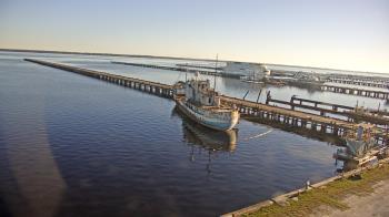 Weather camera view of Reynolds Parks.