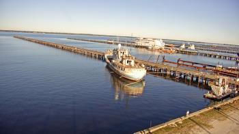 Weather camera view of Reynolds Parks.