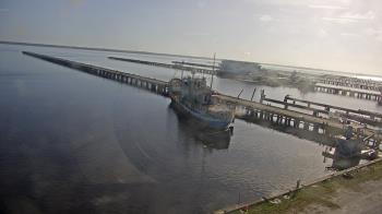 Weather camera view of Reynolds Parks.