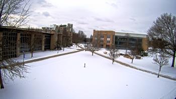 Weather camera view of Misericordia University.