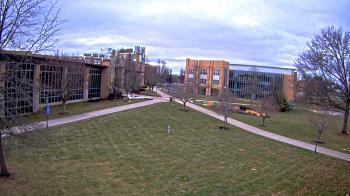 Weather camera view of Misericordia University.