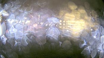 Weather camera view of Misericordia University.