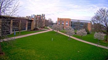 Weather camera view of Misericordia University.