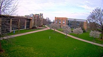 Weather camera view of Misericordia University.