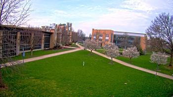 Weather camera view of Misericordia University.