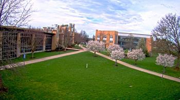 Weather camera view of Misericordia University.